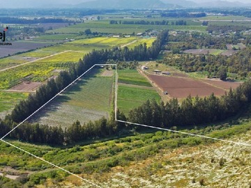 Terreno en venta en Vende Terreno Agrícola en Sector de Naltahua, Isla de Maipo