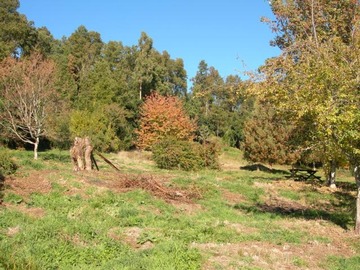 Parcela en venta en cercano puente correntoso - x, Pucón