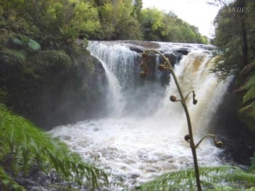 Parcela en venta en Isla Grande de Chiloé, Comuna de Chonchi, parque Tepuhueico, Loteo río Bravo, Chonchi