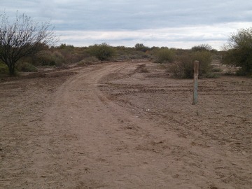 Terreno en venta en Ruta Nacional 40. Lavalle. Mendoza, Argentina, Santiago