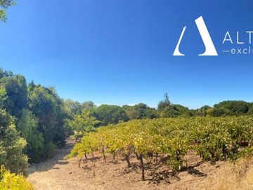 Venta / Parcela / San Javier de Loncomilla