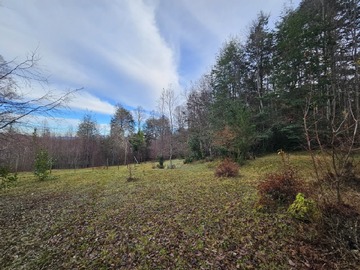 Parcela en venta en Pino huacho, Villarrica