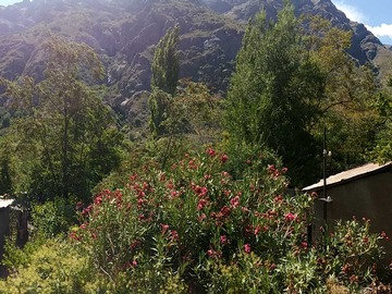 Casa en venta en Terreno con 2 cabañas río Blanco (85353), Los Andes - 4 dormitorios
