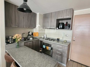 Arriendo Mensual / Departamento / Santiago