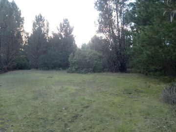 Parcela en venta en Galponcillo, Ránquil