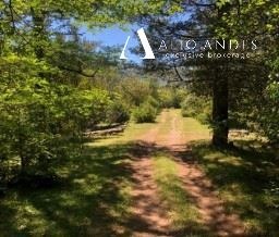 Parcela en venta en Campo "doña lucía", llanada grande, segundo corral, Cochamó