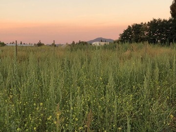 Parcela en venta en Colbun, Colbún