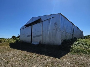 Bodega en venta en Pucquereo, Freire - 1 baño