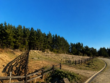 Parcela en venta en Condominio Reserva Los Maquis, Pichilemu, Pichilemu