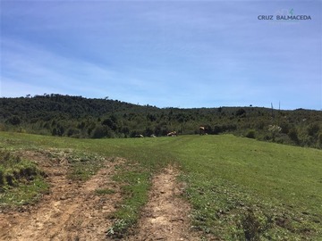 Terreno Agricola en venta en Estaquilla, Los Muermos