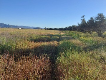 Terreno Agricola en venta en Ovalle, Ovalle