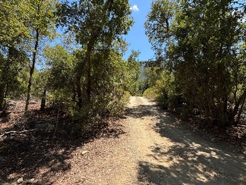 Terreno en venta en Parcela con bosque nativo en Achibueno (146042), Linares