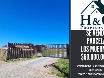 Parcela en venta en Los Muermos, Los Muermos