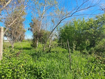 Sitio en venta en escuela maitenes, Linares