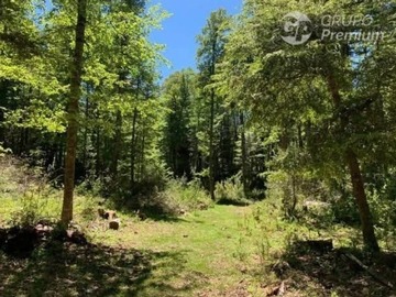 Parcela en venta en Valle Escondido Curarrehue La Araucanía IX Región Chile., Curarrehue