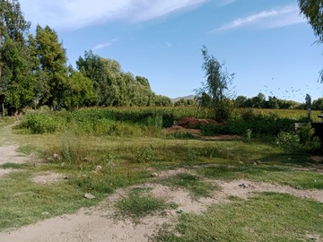 Terreno Agricola en venta en Las cabras, Las Cabras