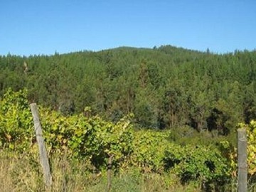Terreno en venta en Cauquenes, acciones de agua, 2 tranques (70047), Cauquenes