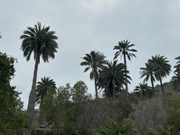Parcela en venta en Reserva Oasis la campana, hijuelas, Hijuelas