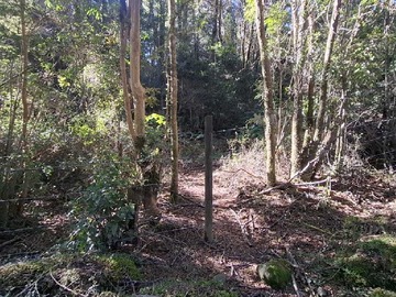 Terreno en venta en Oportunidad de Inversión en Terreno Amplio (179378), Puerto Varas