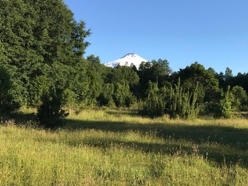 Terreno Agricola en venta en Sector de Candelaria, Pucón