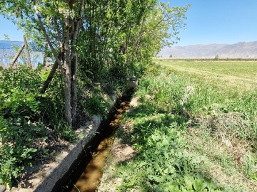 Terreno Agricola en venta en Parcela 5 o del Medio, parcela 2, San Rafael, San Felipe, San Felipe