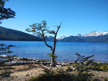 Terreno en venta en Lago bravo (70358), Coyhaique