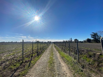 Terreno en venta en Linares camino a Palmilla acciones de agua (118355), Linares