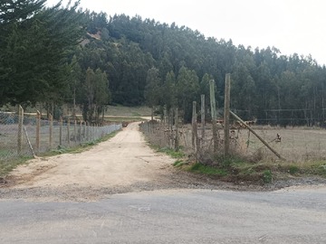 Parcela en venta en Ruta I-190, Navidad, O'Higgins 3230000, Chile, Navidad