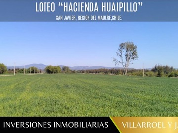 Venta / Parcela / San Javier de Loncomilla