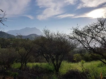 Venta / Terreno / Hijuelas