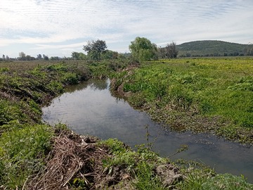 Terreno Agricola en arriendo mensual en Estación Villa Alegre, Villa Alegre