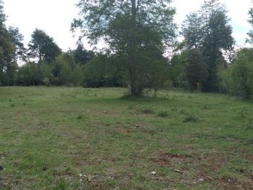 Parcela en venta en Camino a Pino Huacho - Ruta 961, Villarrica