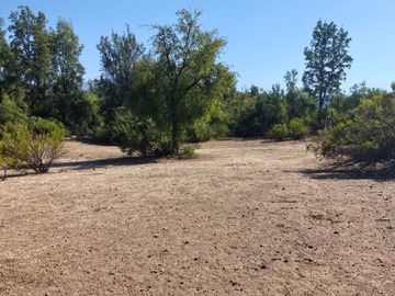 Terreno Agricola en venta en El llano de cale, Til til