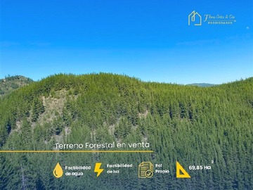 Terreno Agricola en venta en Gualleco los bajos, Curepto
