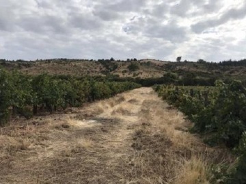 Casa en venta en Sector Garza - Cruce Camino a Sauzal, Cauquenes