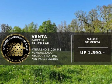 Terreno en venta en Parcelas Urbanizadas A 15 Min De Ctro Frutill (147172), Frutillar