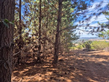 Terreno en venta en Parcela con financiamiento directo (125050), Paredones