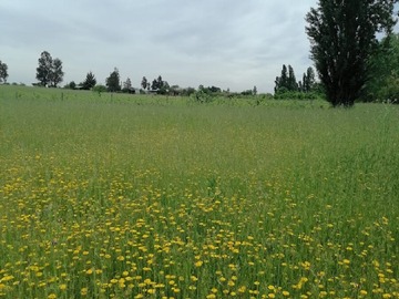 Venta / Parcela / Retiro