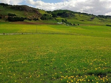 Terreno en venta en Oferta Venta Parcelas Fundo Armadillo (172834), Coyhaique