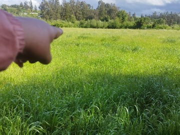 Parcela en venta en La unión, Valdivia