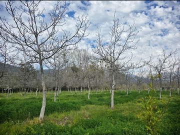 Parcela en venta en Parcela en Venta en Santa Rita Cercana a Ramón Subercaseaux