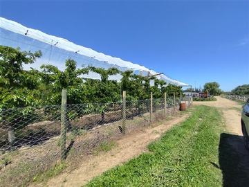 Terreno Agricola en venta en Ruta L 49 / Sector San Esteban, Longaví - 1 dormitorio, 2 baños