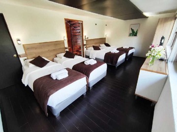 Local Comercial en venta en Oportunidad Única: Hostal Boutique Alto Flujo (165159), Providencia - 7 dormitorios, 8 baños