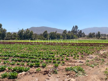 Terreno en venta en Parcela en Altovalsol, 10Ha planas (173255), La Serena - 3 dormitorios, 2 baños