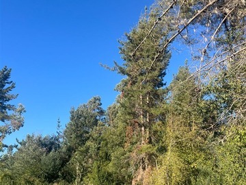 Parcela en venta en Ruta k-705, San Clemente