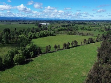 Parcela en venta en L-55, Longaví