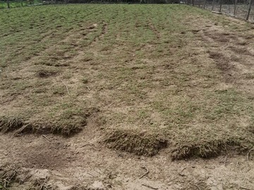 Terreno en venta en El peral, Yerbas Buenas - 1 baño