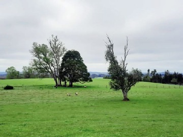 Terreno en venta en Oportunidad Parcela 12 millones (145135), Frutillar