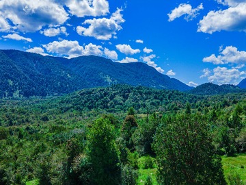 Terreno en venta en Terrerno de 2 hectáreas a orilla de ruta 7 (159774), Cisnes