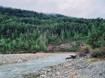 Sitio en venta en Campo Eduardo, Cochamó